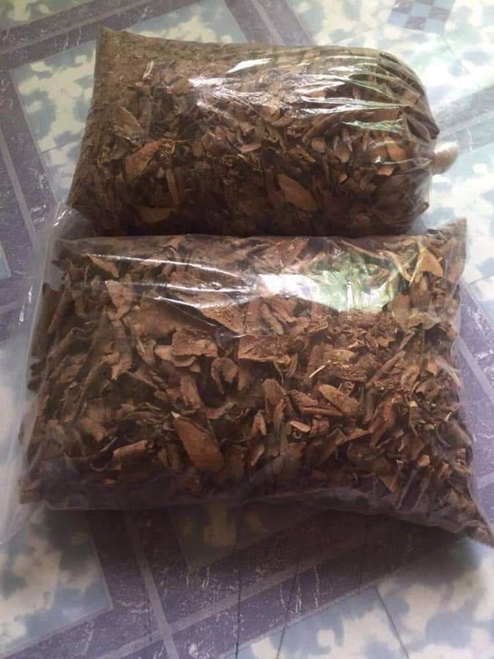 What is the Use of Iboga Root Bark?