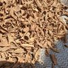 Buy Voacanga Africana Online