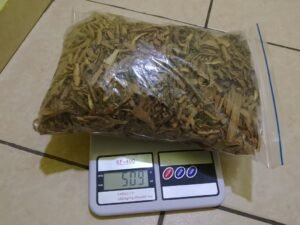 Tabernanthe Iboga Inner Root Bark